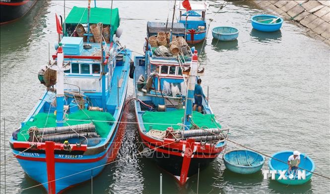 2022年初至今越南海产品捕捞量达56.67万吨