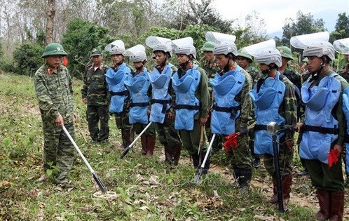 越南常驻联合国代表分享克服战争遗留地雷后果的经验