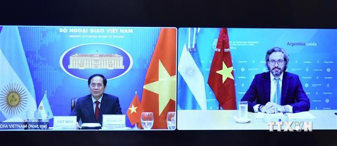 越南外交部长裴青山与阿根廷外交部长卡菲耶罗通电话