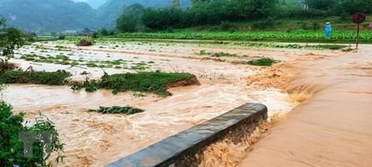 越南北部山区省份主动应对危险天气