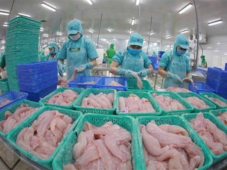 越南查鱼出口增长97%
