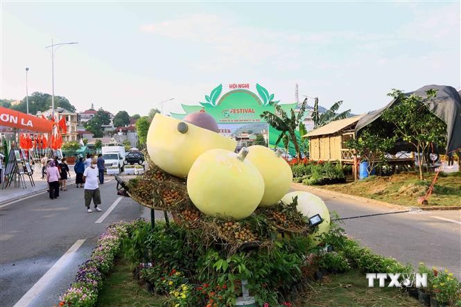 越南政府总理范明政出席2022年越南OCOP产品和水果节开幕式