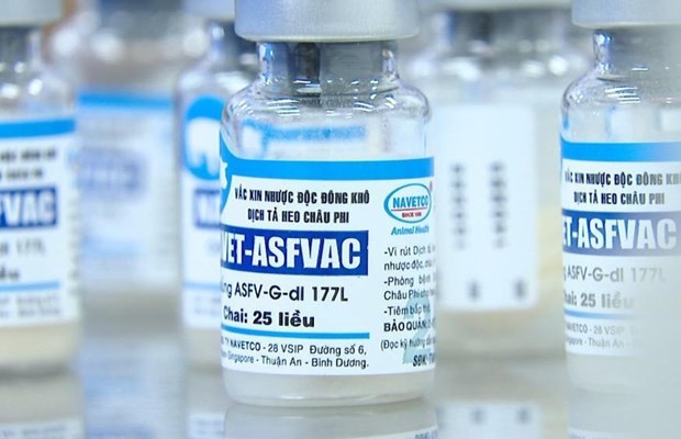 越南是首个国家上市商用非洲猪瘟疫苗