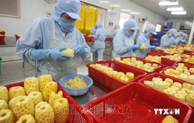 开展300万美元的越南北部蔬菜增值项目