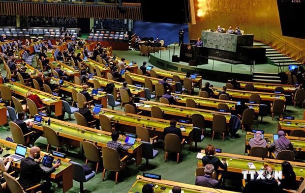 越南为联合国大会事务达成高度共识做出不懈努力