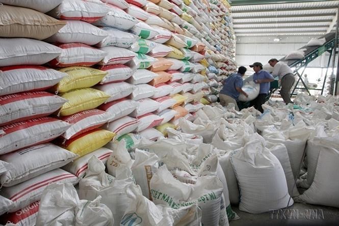 越南加大对非洲市场的食品出口力度