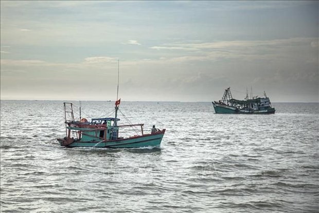 外交部例行记者会：越南愿在打击非法捕捞中开展合作和分享经验