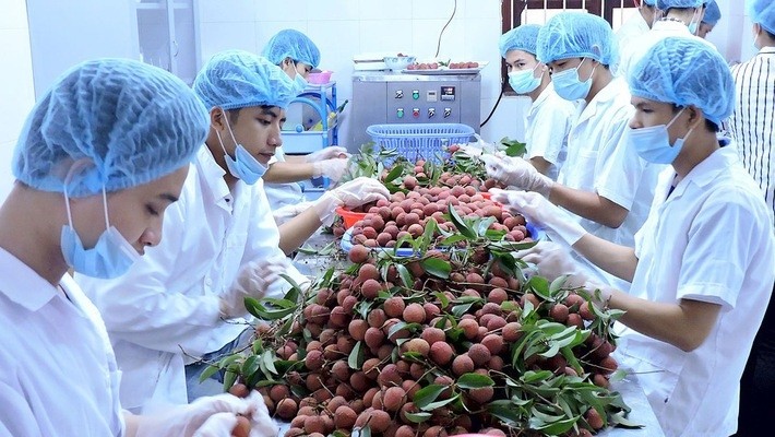 《越南对中国农产品正贸出口指南》正式出版发行