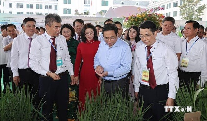 越南政府总理范明政：将传统农业经验与科技和创新结合起来 实现农业可持续高效发展