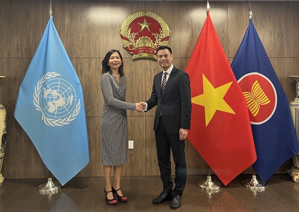 联合国驻越南协调员支持越南在联合国促进的优先事项