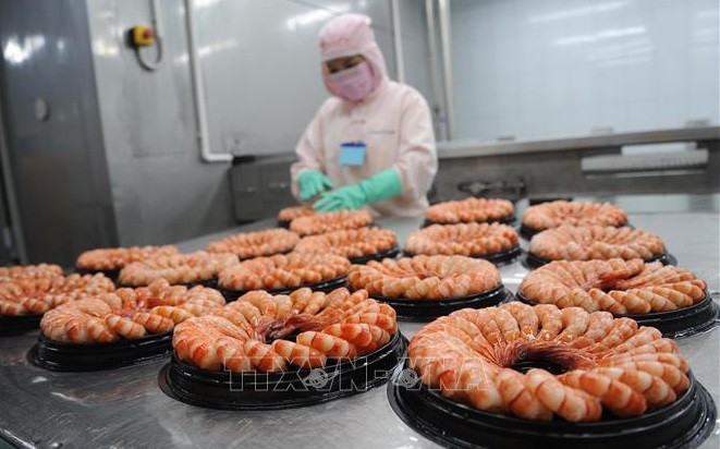 越南虾类产品出口迎来许多机遇