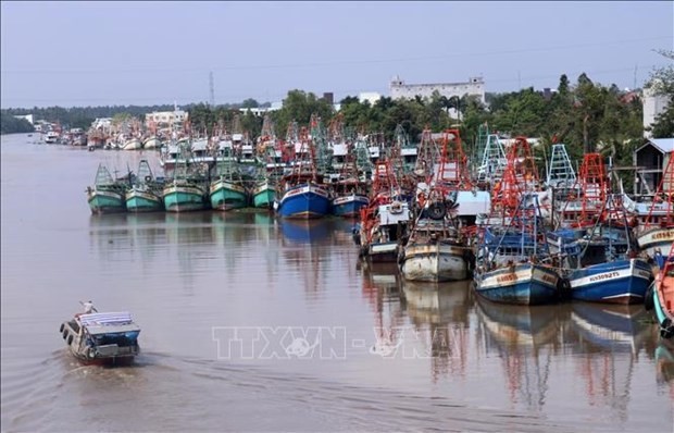 解除IUU“黄牌”警告：坚江省严厉惩治侵犯外国海域的渔船