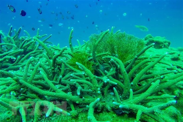 东亚海地区各国强化应对塑料污染和保护海洋生态的合作