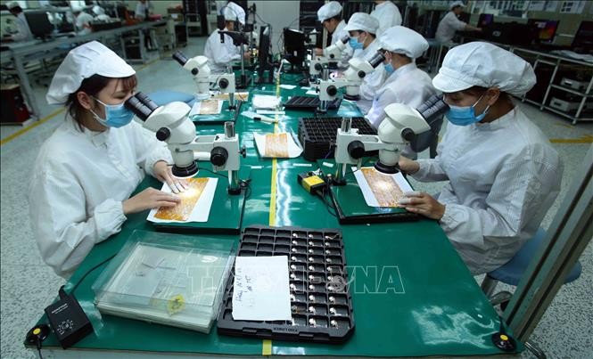 越南企业利用EVFTA协议开发欧盟的潜在市场