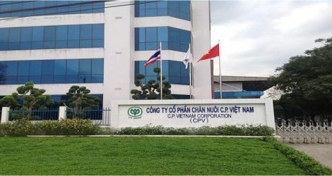 2022年越南饲料十强企业名单出炉