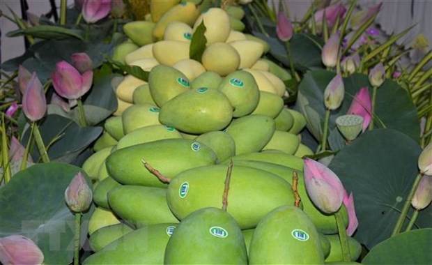 越南成为韩国第三大芒果供应市场