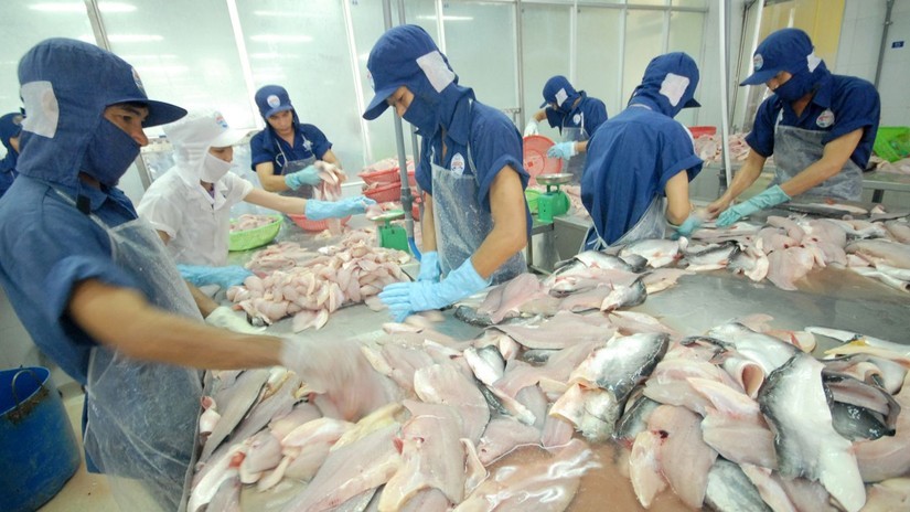 东盟各国加大对越南查鱼产品的进口力度