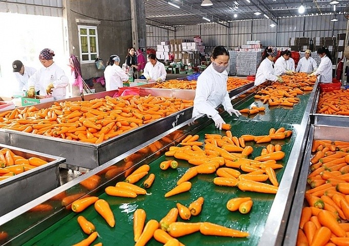 越南蔬果制品出口额跻身10亿美元名单