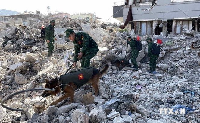土耳其和叙利亚地震：越南人民军救援队救援工作初步成果