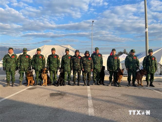 土耳其和叙利亚强震：越南人民军嗅探犬队的卓越战绩