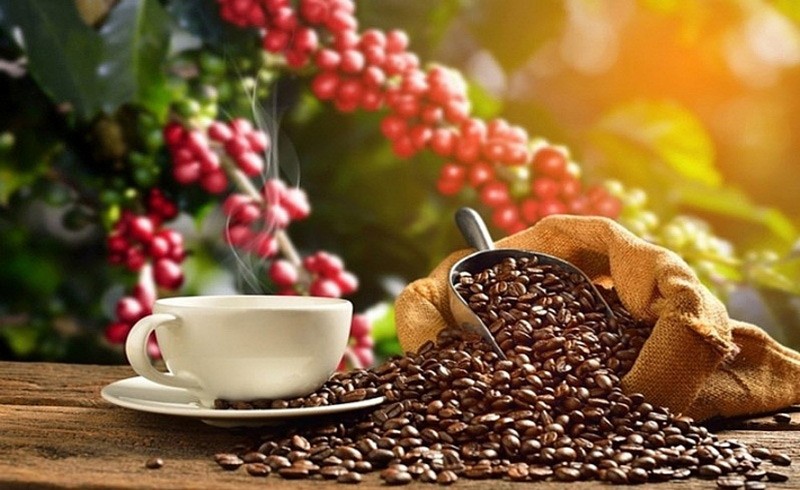 越南是西班牙的主要咖啡供应国