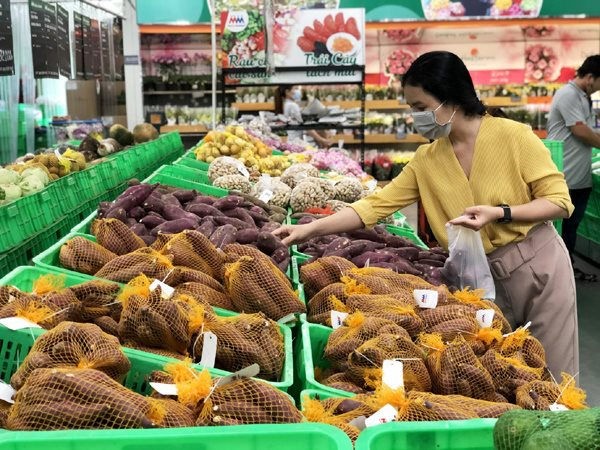 80多家越南企业获准对华出口甘薯