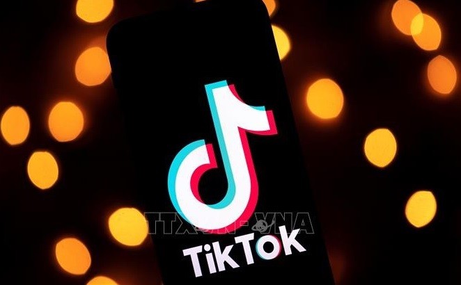 越南信息传媒部：继续实行手机卡实名制 处理Tiktok的违法违规行为
