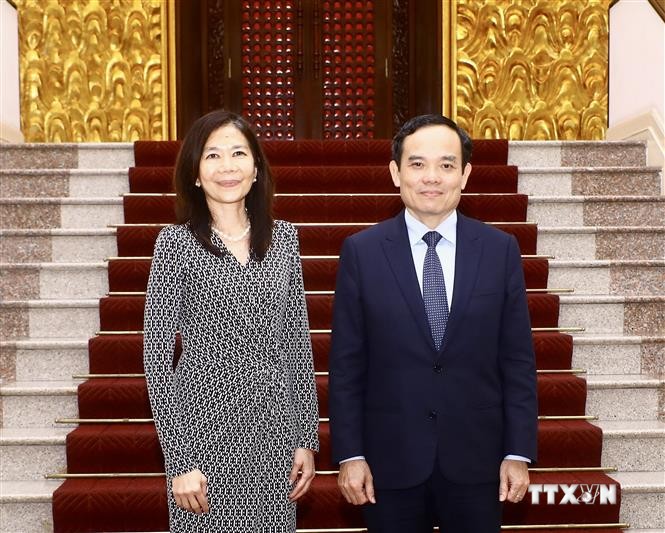 政府副总理陈流光会见联合国常驻越南协调员宝琳·塔梅西斯