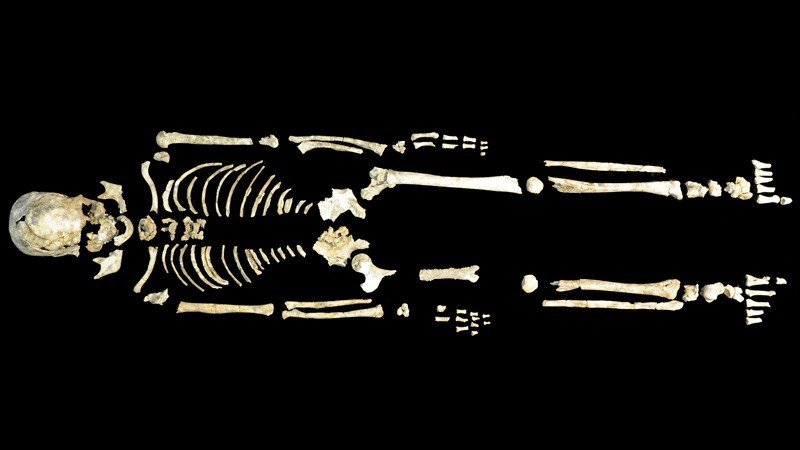 Một bộ xương 8.400 năm tuổi từ khu khảo cổ hang động ở Phúc Kiến, Trung Quốc. Ảnh minh họa: nature.com