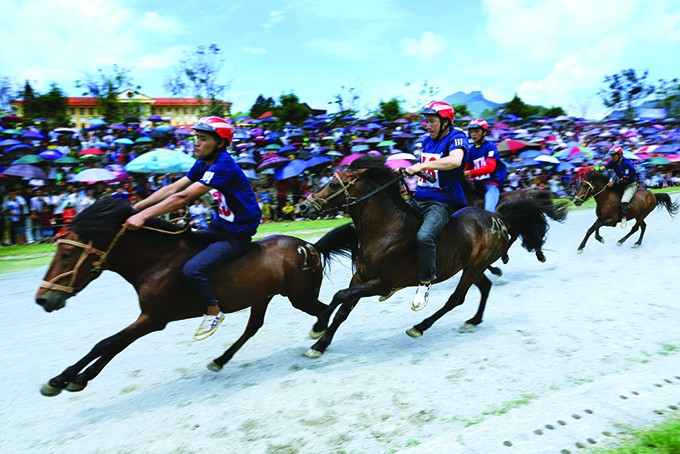 Giải đua ngựa truyền thống huyện Bắc Hà (Lào Cai) mở rộng năm 2020 nhằm kích cầu hoạt động du lịch, đồng thời thúc đẩy phát triển kinh tế - xã hội địa phương sau thời gian dài. Ảnh: An Văn Đạt