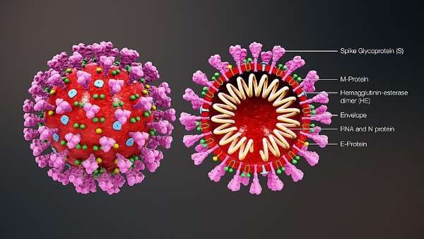 Australia phát triển phần mềm phân tích và dự báo đột biến gene của virus SARS-CoV-2
