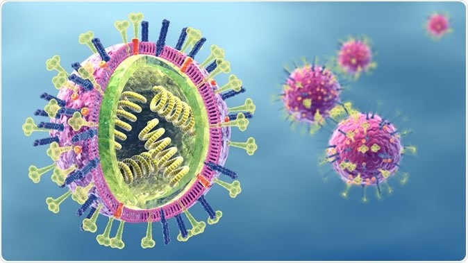 Xác định các kháng thể ngăn chặn nhiều chủng virus cúm B