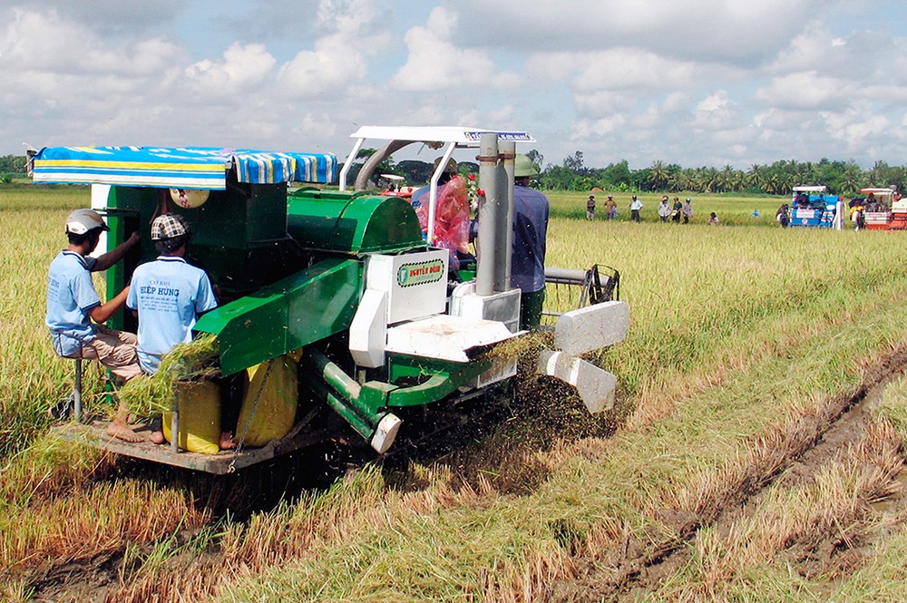 Thu hoạch lúa bằng máy gặt đập liên hợp ở huyện Mỹ Xuyên (Sóc Trăng). Ảnh: Trung Hiếu