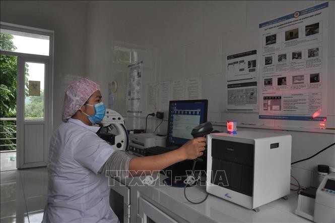 Bác sĩ của Bệnh viên Lao và Bệnh phổi tỉnh Yên Bái thực hiện quy trình xét nghiệm Gene Xpert MTB/RIF. Ảnh: Việt Dũng – TTXVN