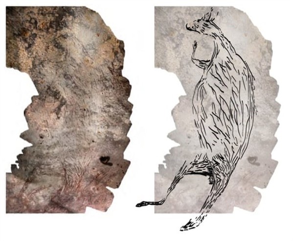 Bức vẽ kangaroo trên đá (bên trái) của thổ dân Australia có niên đại 17.300 năm. Nguồn: The Guardian