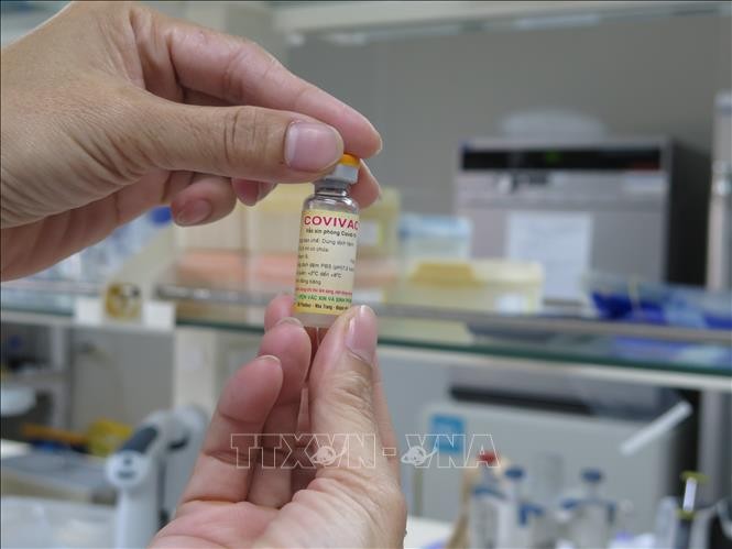Vaccine Covivac thành phẩm do Viện Vaccine và Sinh phẩm Y tế (thuộc Bộ Y tế) đặt tại Khánh Hòa nghiên cứu và sản xuất. Ảnh: Phan Sáu – TTXVN