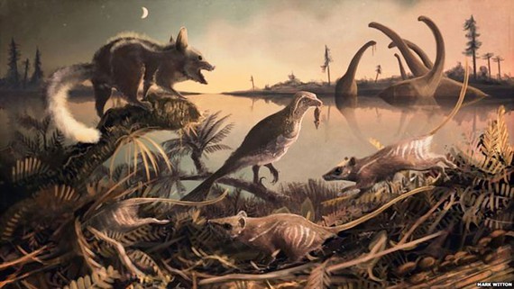 Phát hiện hóa thạch động vật có vú niên đại 72 triệu năm trước đây tại Chile