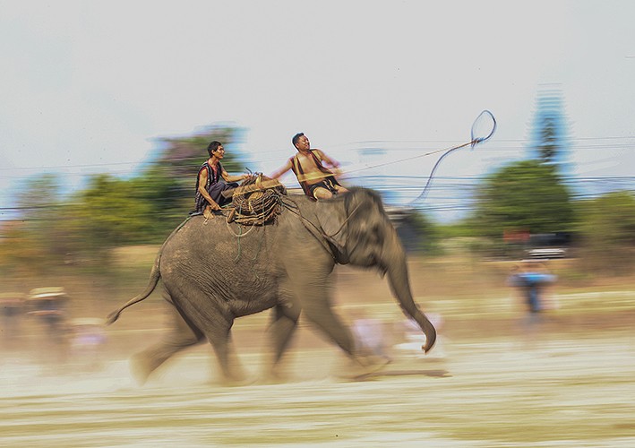 Tái hiện cảnh săn voi của đồng bào tại lễ hội voi Tây Nguyên. Ảnh: Trọng Đạt