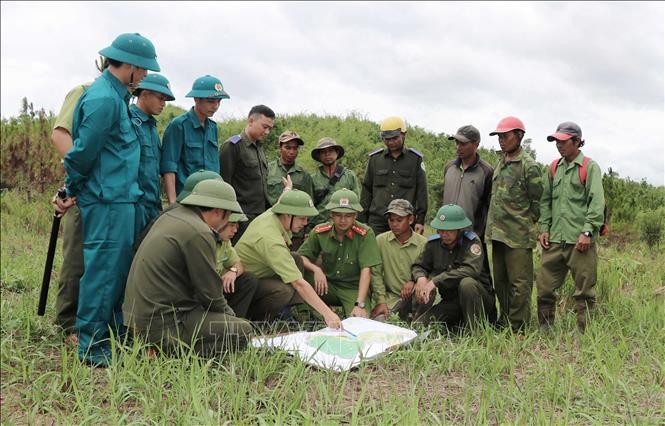 Lực lượng kiểm lâm thường xuyên phối hợp với các tổ liên ngành cấp xã để nắm vững địa bàn trong công tác quản lý, bảo vệ rừng. Ảnh: Hồng Điệp – TTXVN
