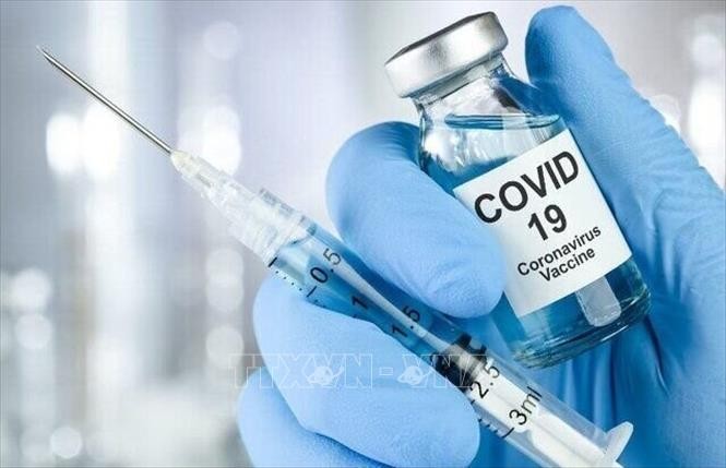Nghiên cứu về khoảng cách giữa các mũi tiêm vaccine phòng COVID-19 đối với thai phụ