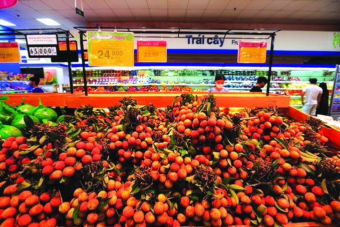 Vải thiều Bắc Giang được đưa lên kệ bày bán phục vụ khách hàng trong hệ thống siêu thị Co.opmart ở các tỉnh khu vực phía Bắc. Ảnh:Phan Tuấn Anh