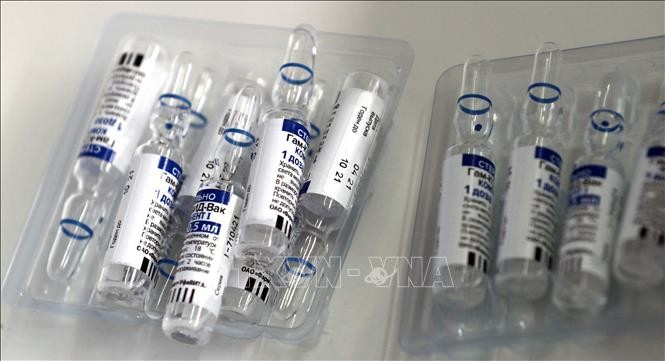 Vaccine ngừa COVID-19 Sputnik V của Nga. Ảnh: AFP/TTXVN