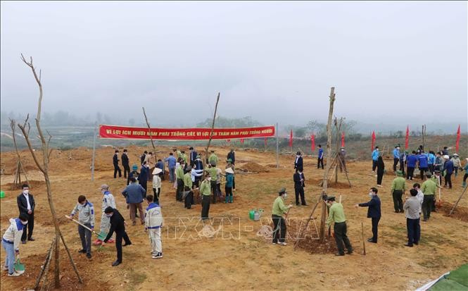 Lai Châu phấn đấu trồng 50 nghìn cây xanh năm 2022. Ảnh: Nguyễn Oanh-TTXVN