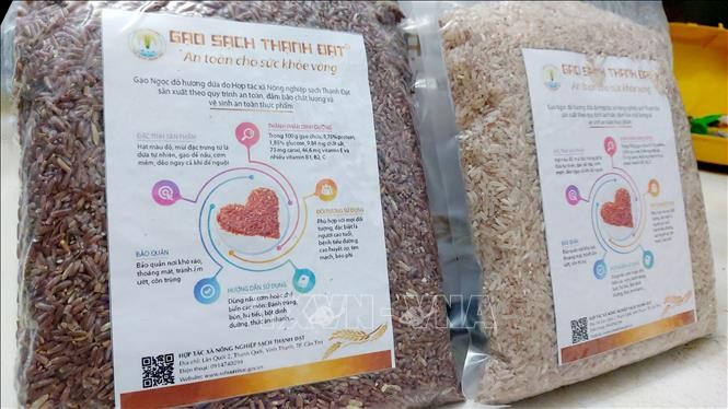 "Gạo sạch Thạnh Đạt" (Hợp tác xã Nông nghiệp sạch Thạnh Đạt, huyện Vĩnh Thạnh) là thương hiệu gạo đầu tiên được Sở KH&CN thành phố Cần Thơ hỗ trợ quảng bá, phát triển thương hiệu. Ảnh: Thu Hiền - TTXVN
