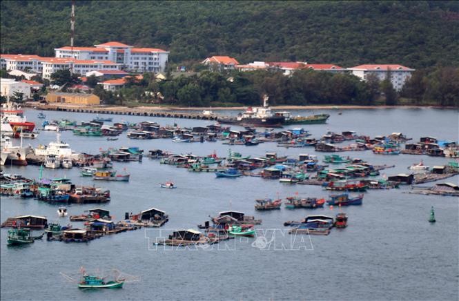 Nuôi cá lồng bè trên vùng biển An Thới, thành phố Phú Quốc (Kiên Giang). Ảnh: Lê Huy Hải – TTXVN