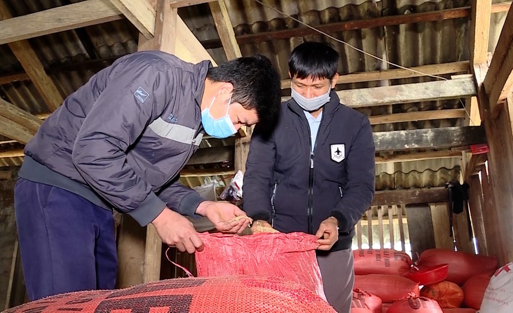 Anh Thèn Văn Hiển (bên trái ảnh) kiểm tra chất lượng lúa sau thu hoạch của 1 hộ đồng bào trong thôn. Ảnh: Vũ Quang Đán