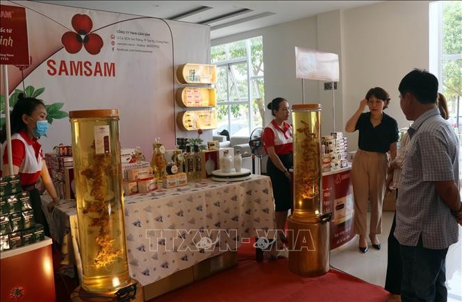 Phát triển Sâm Việt Nam mang thương hiệu sản phẩm quốc gia