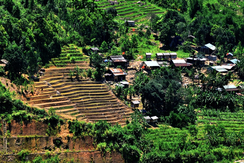 Ở nhiều bản làng thuộc huyện Nam Trà My, cuộc sống đồng bào hoàn toàn dựa vào rừng tạo nên sự gắn kết, vừa khai thác giá trị sinh kế bền vững, vừa góp sức bảo vệ rừng tự nhiên một cách tốt nhất. Ảnh: Khánh Nguyên