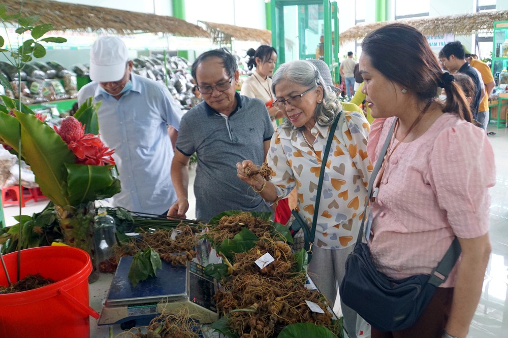 Du khách chọn mua sâm Ngọc Linh tại phiên chợ. Ảnh: Trịnh Bang Nhiệm – TTXVN