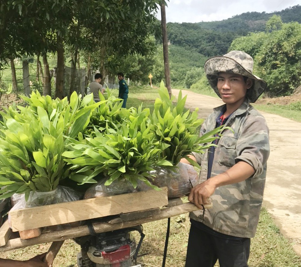 Kiến nghị nâng mức hỗ trợ trồng rừng cho người dân Gia Lai